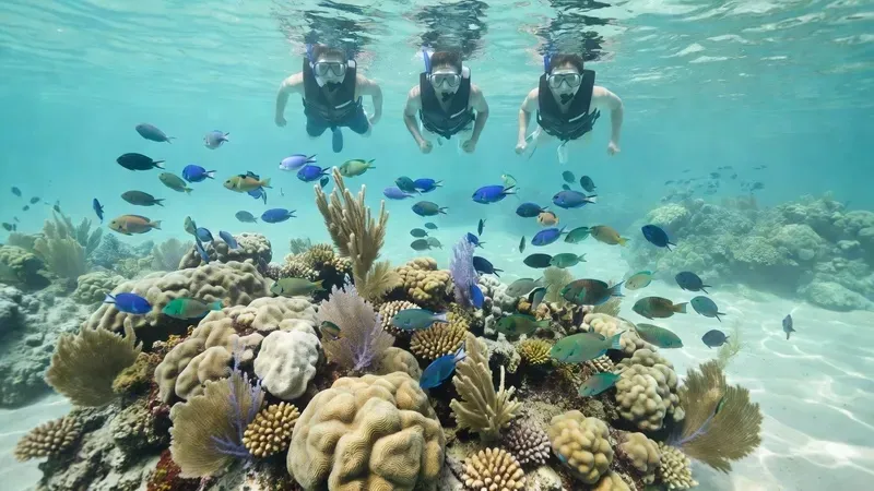 A snorkeler exploring colorful coral formations and lionfish on a half-day caye caulker snorkeling tour from the local reef