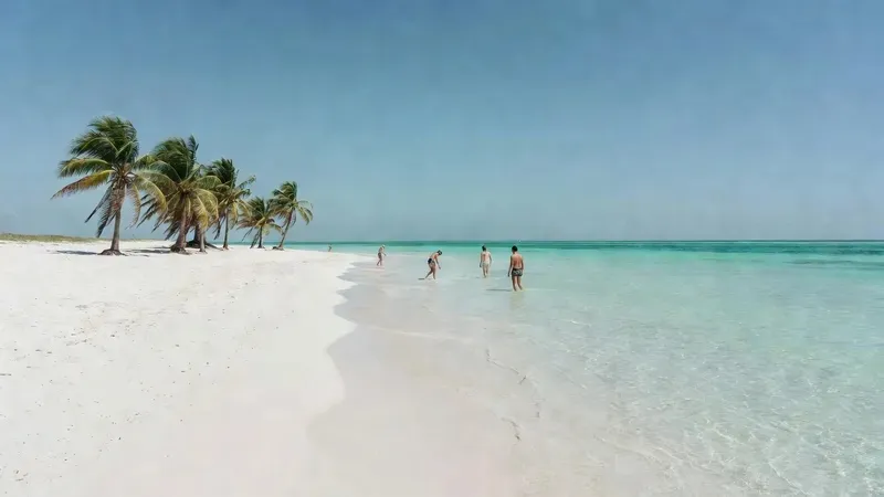 Snorkelers swimming with nurse sharks at Shark Ray Alley before heading to Secret Beach on a caye caulker belize snorkeling day tour
